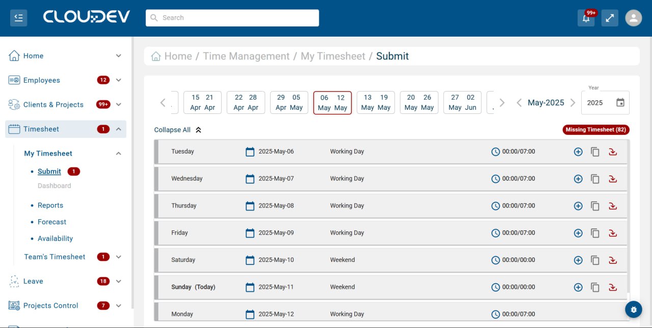 Analyzer Project ERP